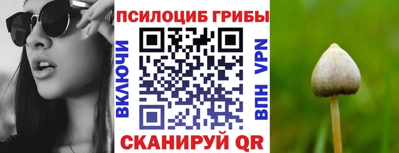 Псилоцибиновые грибы Psilocybine cubensis Приморско-Ахтарск