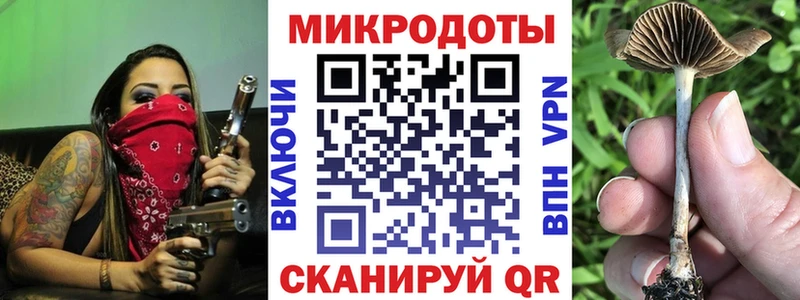 Галлюциногенные грибы Cubensis  Приморско-Ахтарск 