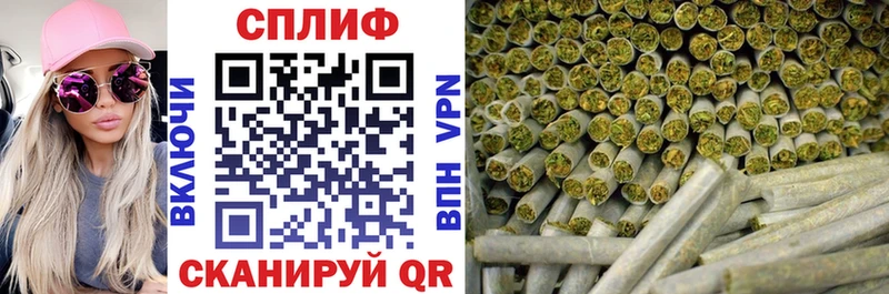 мориарти телеграм  Приморско-Ахтарск  Конопля Amnesia  где купить   MEGA как зайти 